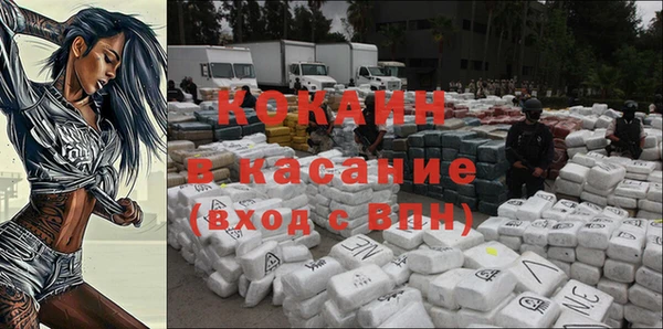 твердый Богданович