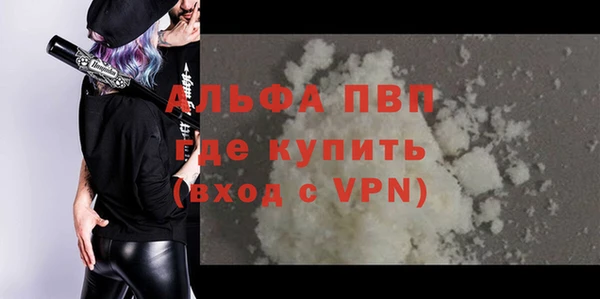 твердый Богданович