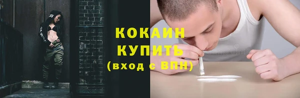 твердый Богданович
