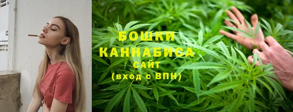 эйфоретик Бородино