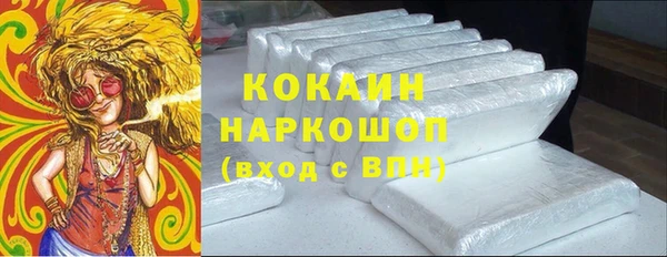 эйфоретик Бородино