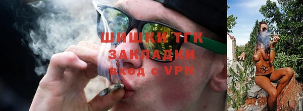 твердый Богданович