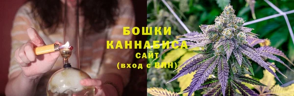 твердый Богданович